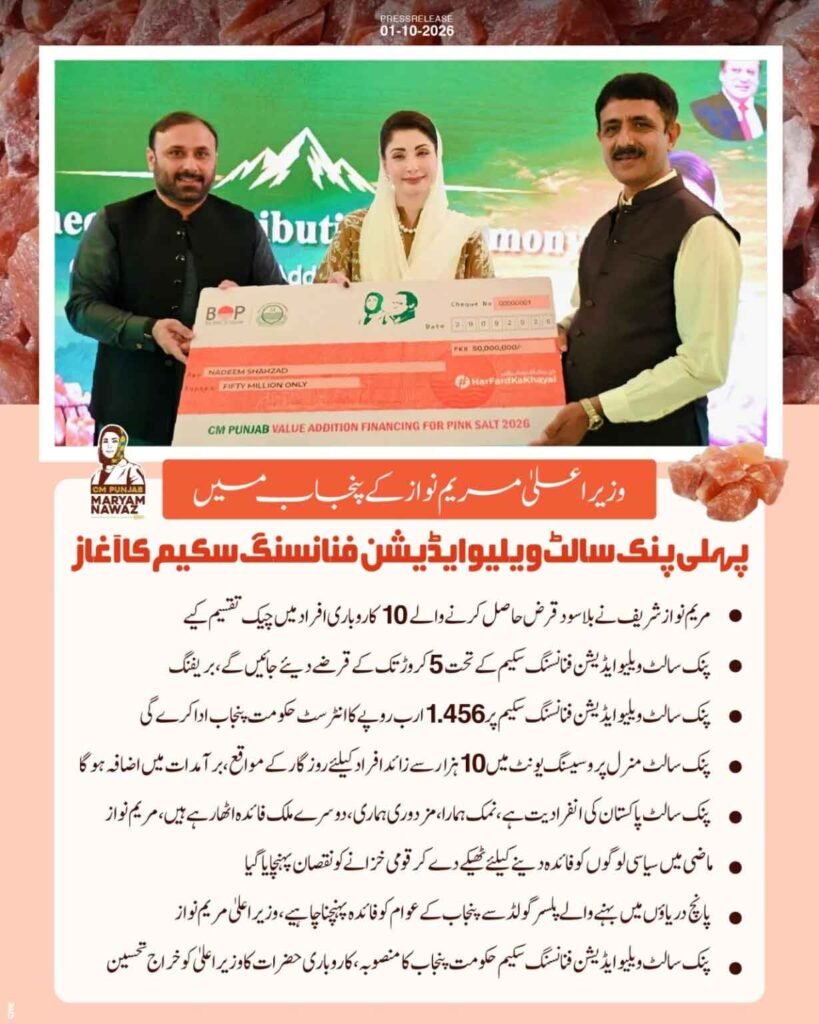 Pink Salt Business Loan 2026 Online Apply Pink Salt Scheme 