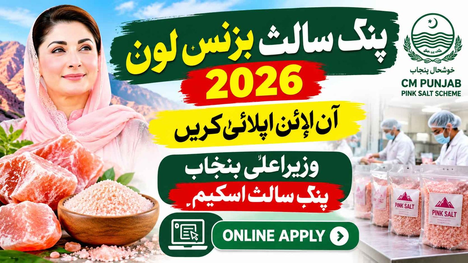 Pink Salt Business Loan 2026
